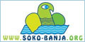 Soko banja